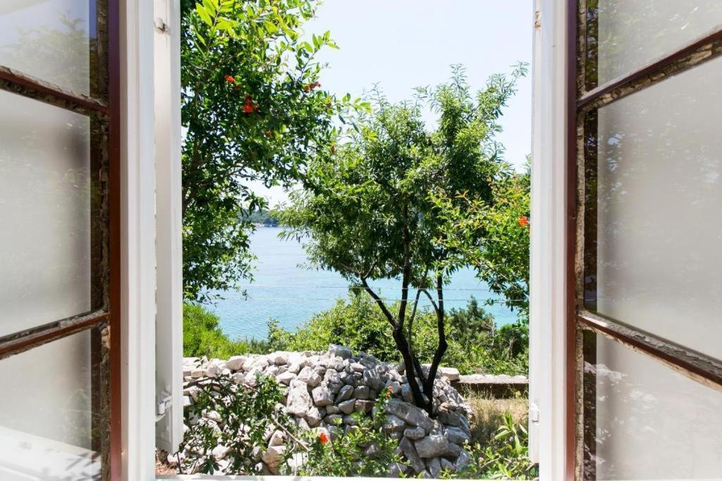 Guest House Simunovic Sudurad Exterior foto